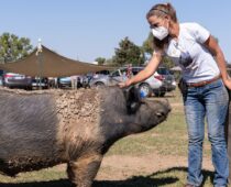 Good Life Refuge Announces 3rd Annual “Sanctuary Spectacular” Fundraising Gala