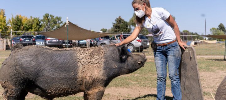 Good Life Refuge Announces 3rd Annual “Sanctuary Spectacular” Fundraising Gala