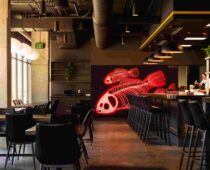 Sushi Concept Odd Rabbit Debuts In Boulder