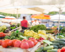 City Park and Lafayette Farmers Markets Return