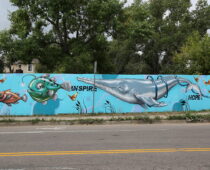 City of Boulder Opens Applications For 2026 Creative Neighborhoods Program