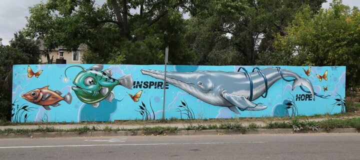 City of Boulder Opens Applications For 2026 Creative Neighborhoods Program