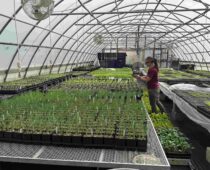 The New Farmers: Supporting Sustainable, Ethical, and Local Agriculture