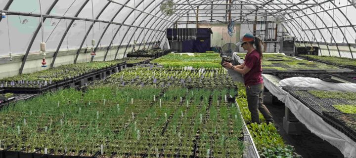 The New Farmers: Supporting Sustainable, Ethical, and Local Agriculture