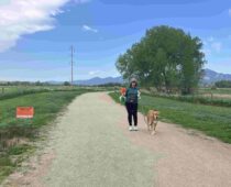 Let’s DOO It! DOO Your Part To Keep Shared Public Land Beautiful