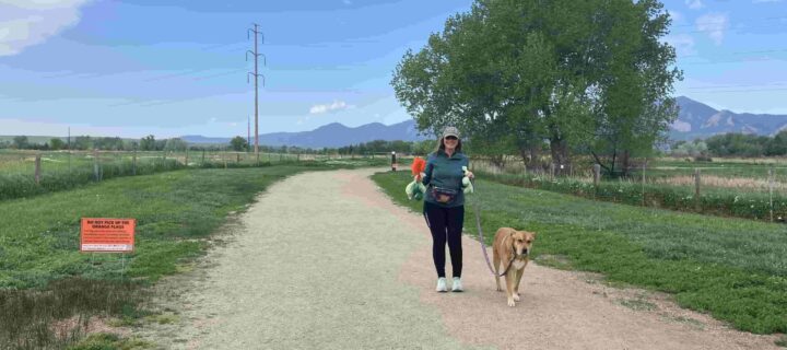 Let’s DOO It! DOO Your Part To Keep Shared Public Land Beautiful