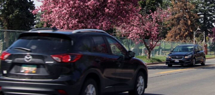 Curbside Service To Be Available for Disability Plates and Placards in Jeffco