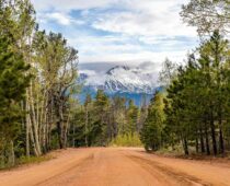 CDOT Launches Emergency Tree Cutting Project To Reduce Wildfire Risk Along State Highways