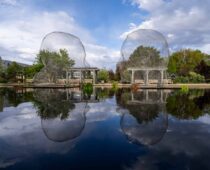 Spotlight: Jaume Plensa – A New Humanism at the Denver Botanic Gardens