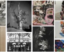 New Exhibitions Opening at Museum of Art Fort Collins