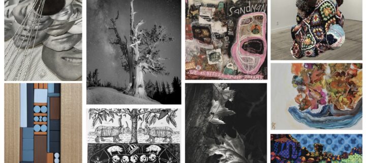 New Exhibitions Opening at Museum of Art Fort Collins