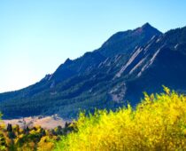 City of Boulder Seeks Climate-Resilient Landscape Projects And Ideas