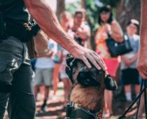New Boulder Police K9 Team Hits the Street to Enhance Public Safety