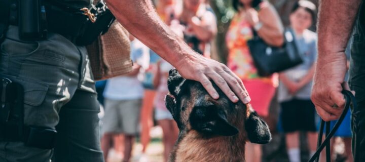 New Boulder Police K9 Team Hits the Street to Enhance Public Safety