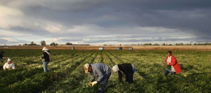 From The San Luis Valley To Vail, Latino Labor Powers Every Sector Of Colorado’s Economy