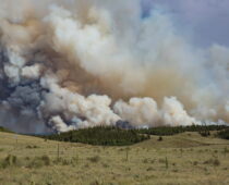 Information for Eligible Voters Impacted by Wildfires