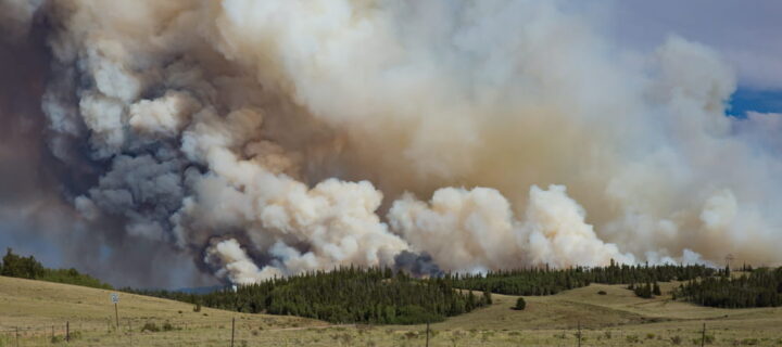 Information for Eligible Voters Impacted by Wildfires