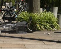 Galileo Wise Sues Boulder Police Officers for Tackling Him Off His Bike and Detaining Him Without Legal Justification