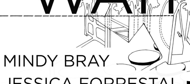 LightWait: Mindy Bray + Jessica Forrestal | Curated by Drew Austin