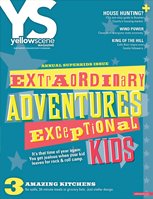 YS Issue: March 2011