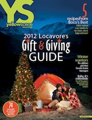YS Issue: November 2012