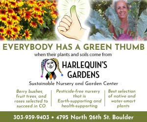 Visit  Harlequins Gardens
